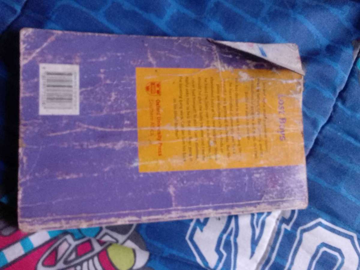 Lost Boys by Willem van Der Walt