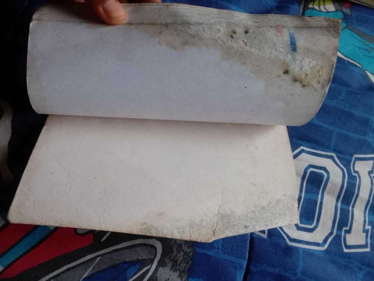 Lost Boys by Willem van Der Walt