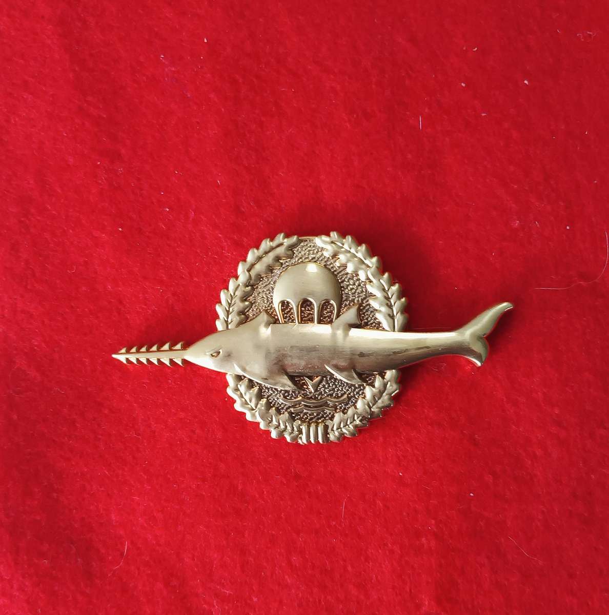 GERMAN BUNDESWEHR - PARA COMBAT SWIMMER - GOLD CLASS 1