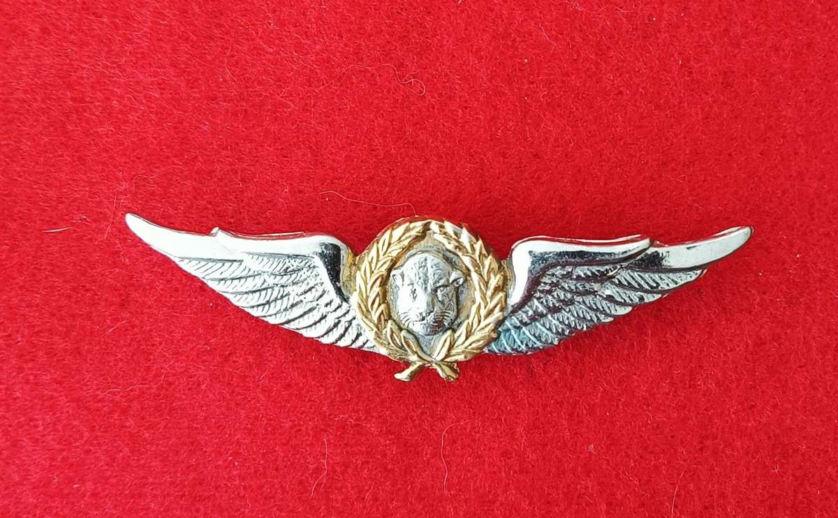 SADF - BOPHUTHATSWANA DEFENCE FORCE - PILOTS WINGS (SCARCE)