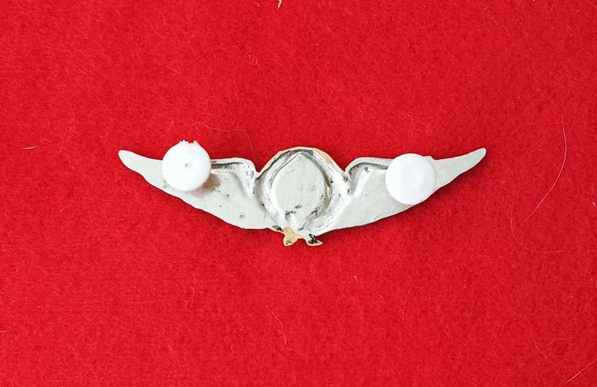 SADF - BOPHUTHATSWANA DEFENCE FORCE - PILOTS WINGS (SCARCE)