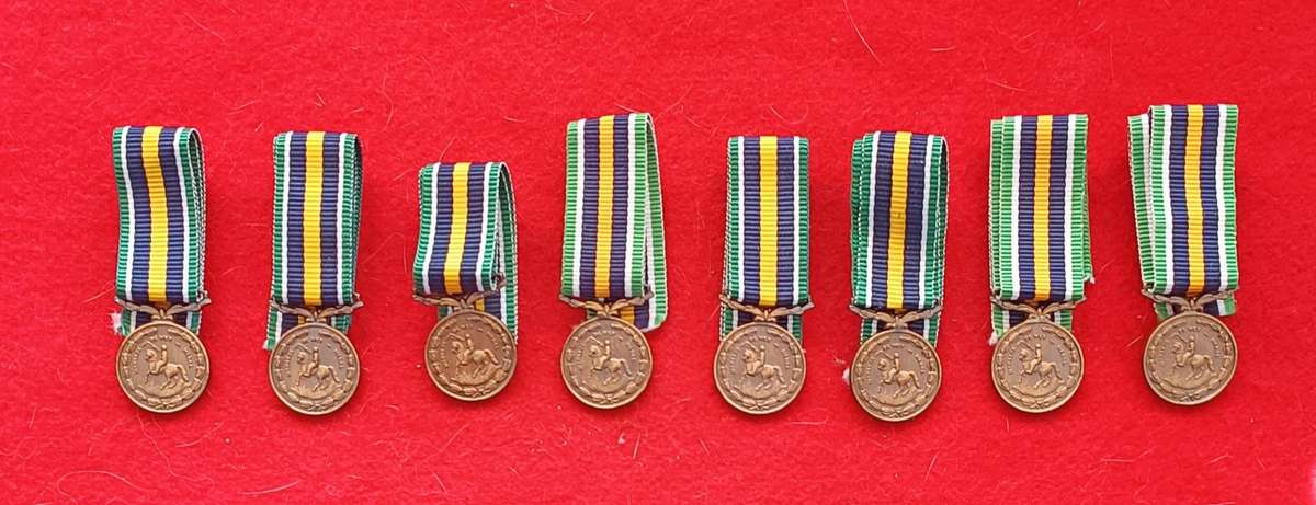 SADF - DE WET MEDAL - MINIATURE