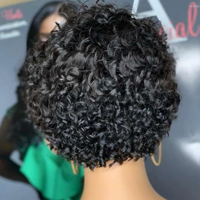 Synthetic 5x1 Lace Front Curly Pixie Wig - Black
