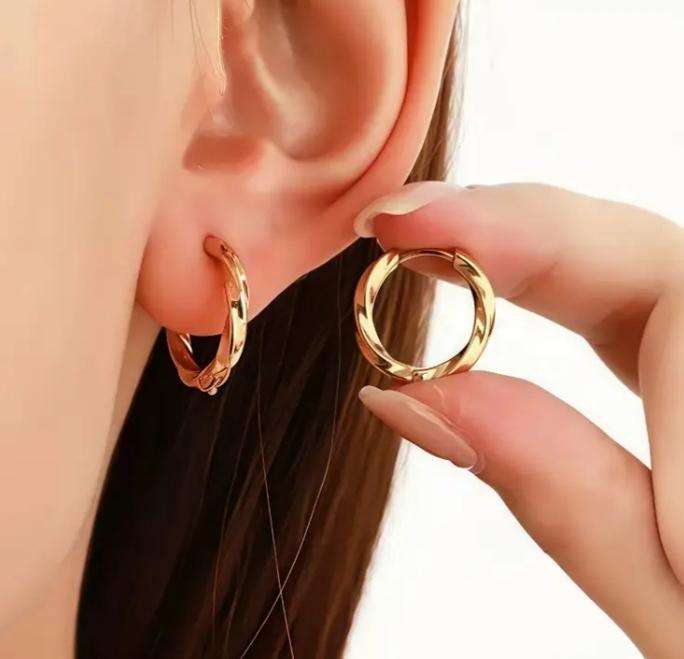 Stainless Steel Twist Hoop Earrings
