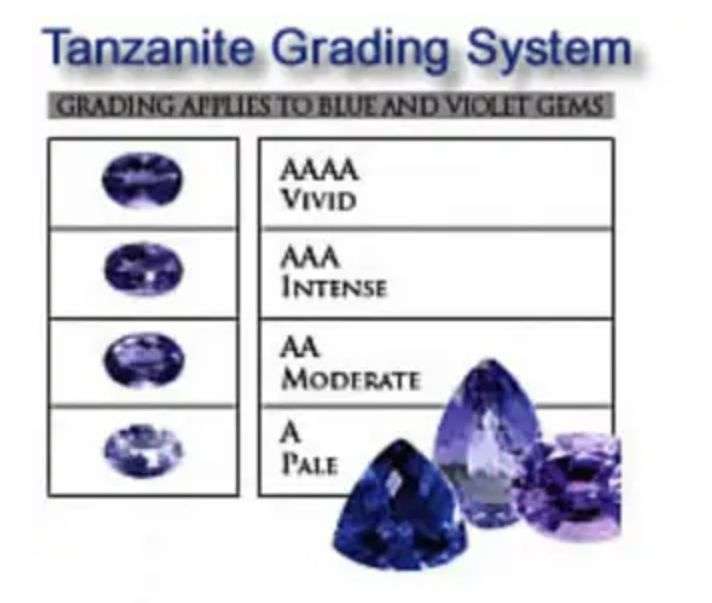 1.02 Ct NATURAL OVAL SHAPE RARE BLUISH VIOLET TANZANITE
