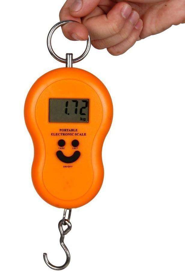 50kg Portable Electronic Scale
