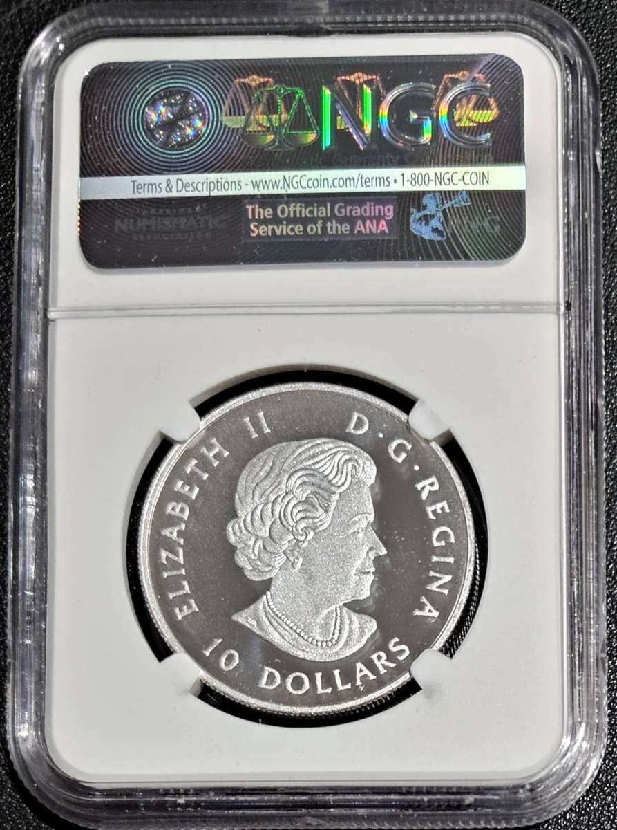 2017 Canada Silver $10 PF70 Matte 1st Release - Canada's 150th Anniversary - Wild Swift Fox & Pups