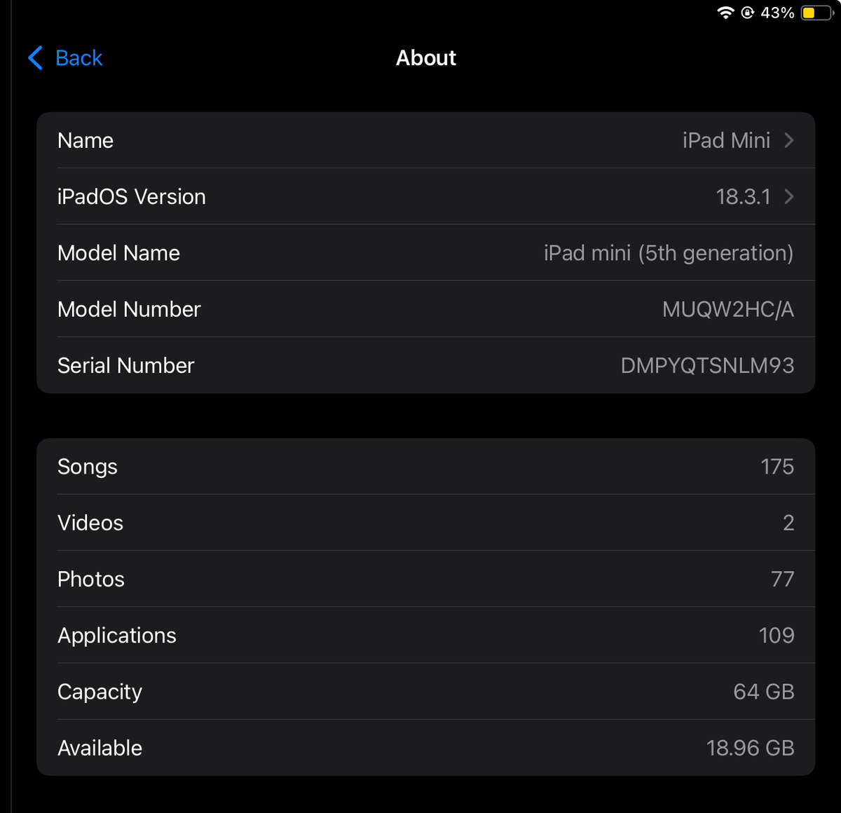 iPad Mini 5th Generation - Excellent Condition