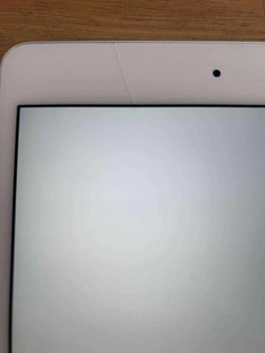 iPad Mini A1538
