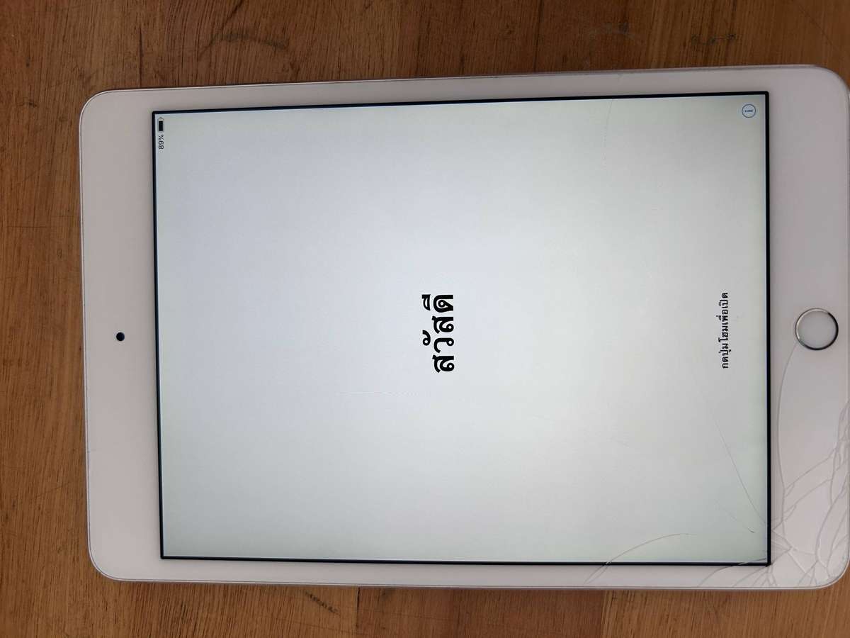 iPad Mini A1538