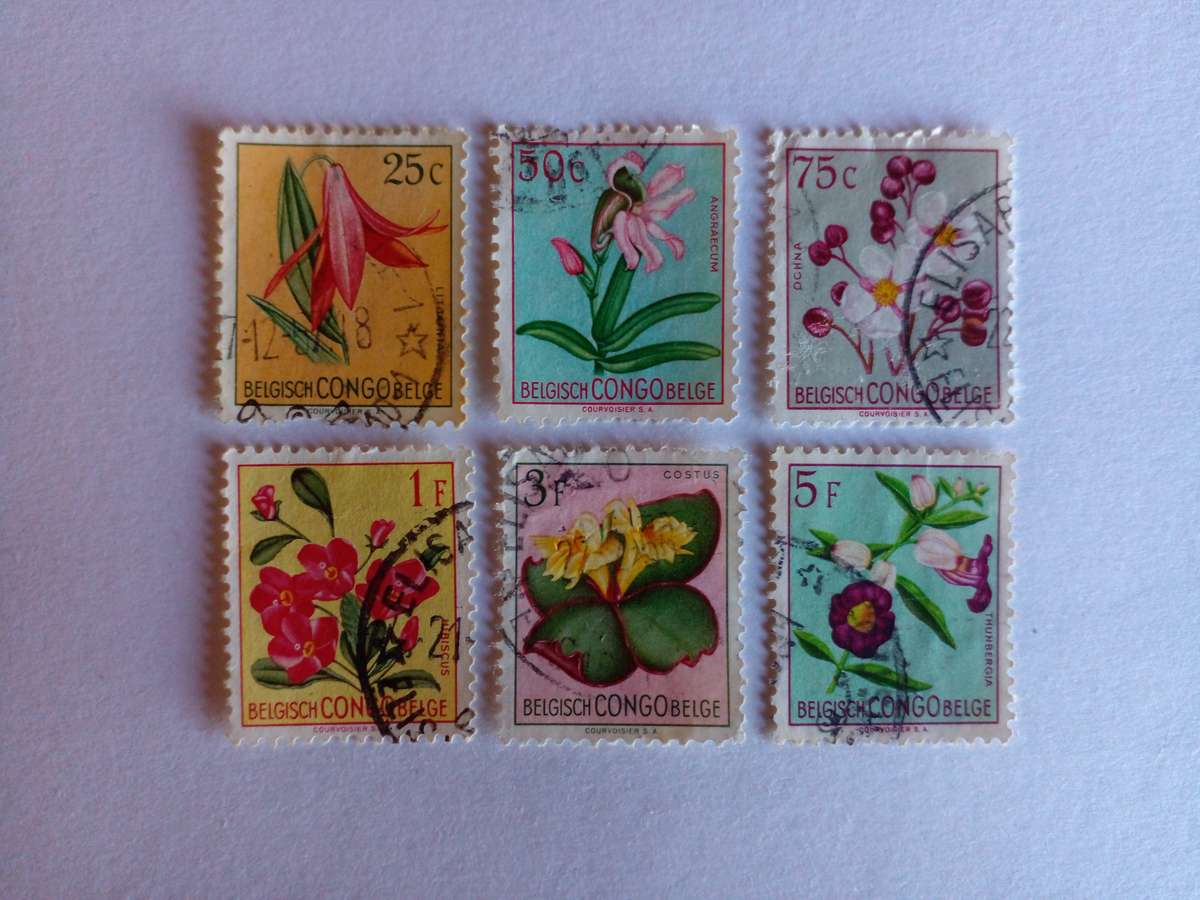 Belgian Congo 1952 Flowers
