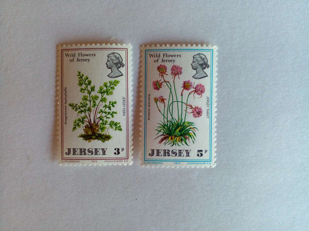 Jersey 1972 Wild Flowers