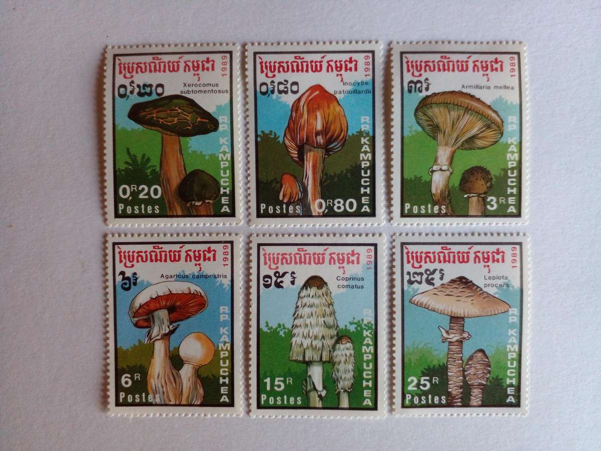 Cambodia 1989 Mushrooms