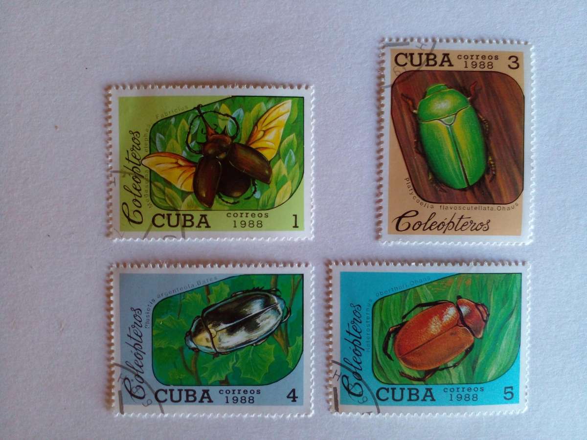 Cuba 1988 Beetles