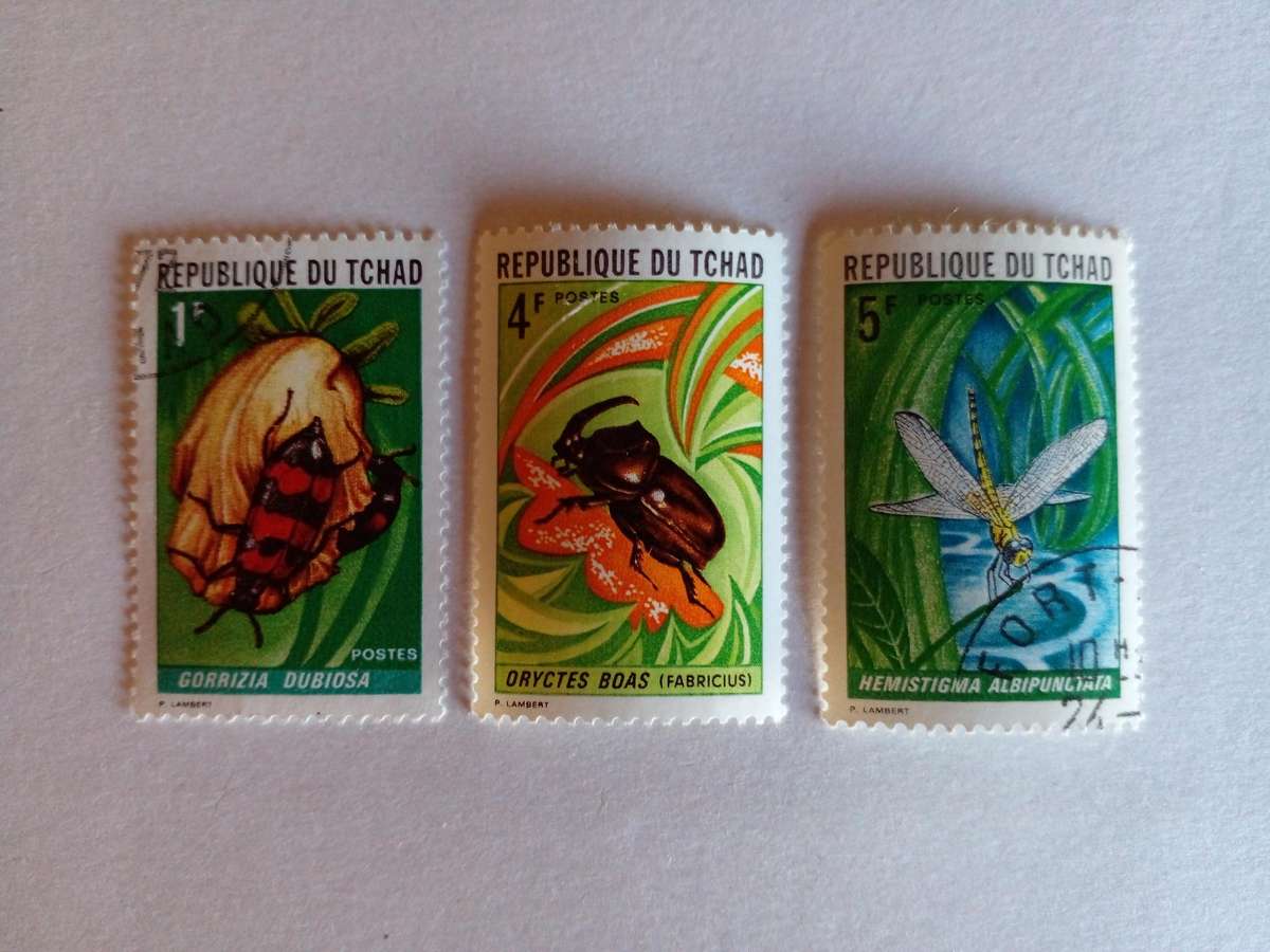 Chad 1972 Insects