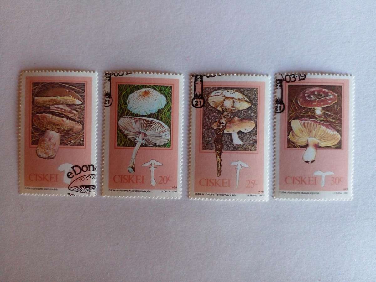 Ciskei 1987 Mushrooms