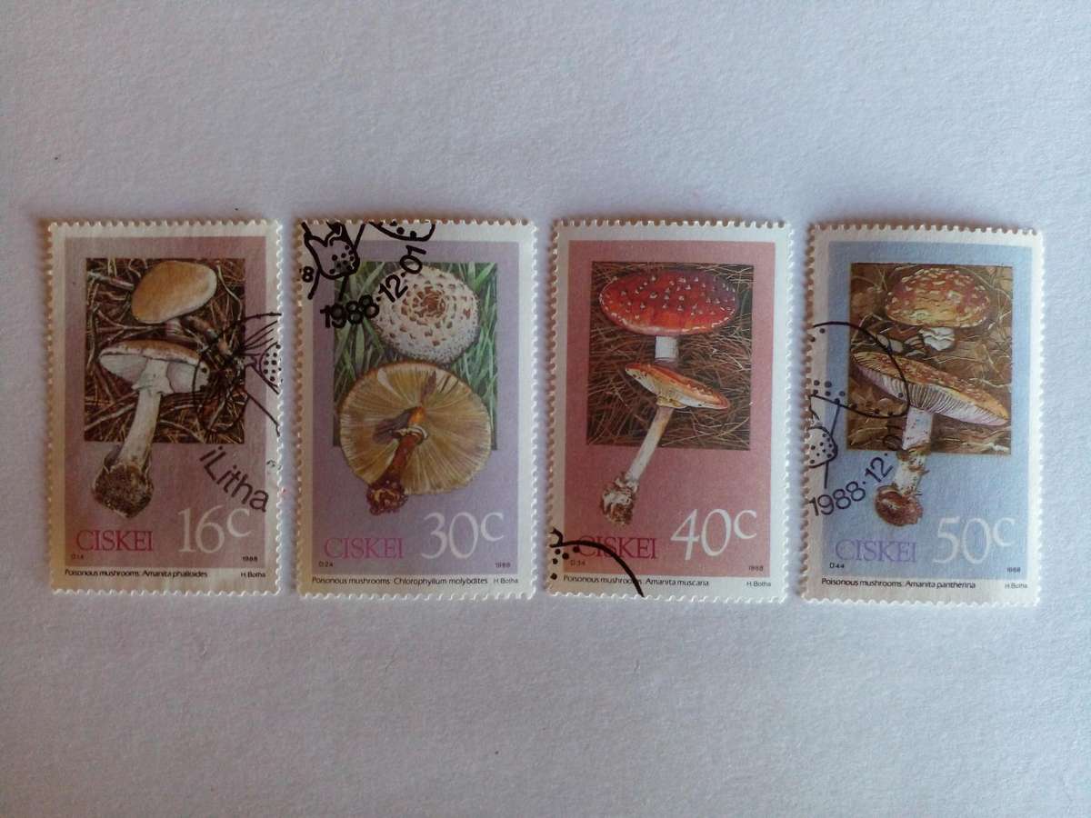 Ciskei 1988 Mushrooms