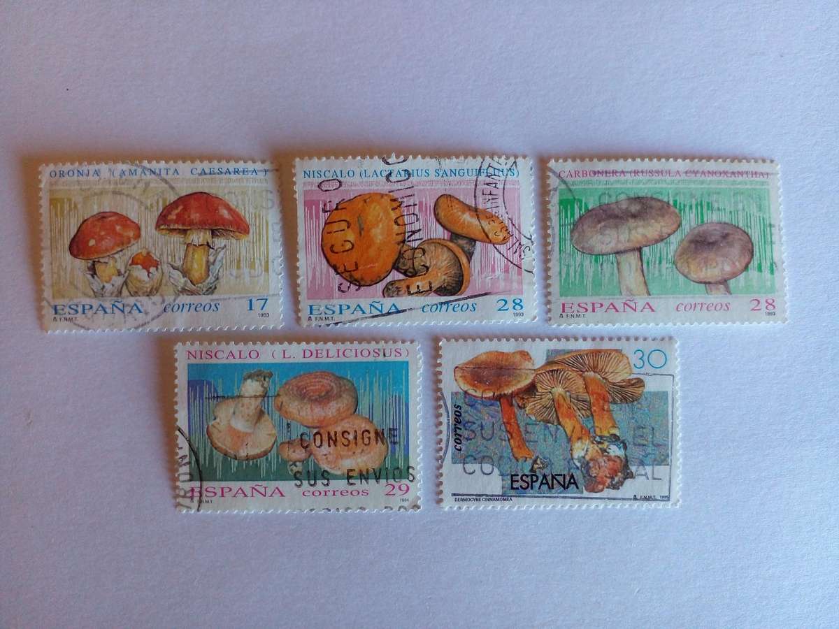 Spain 1993-95 Mushrooms