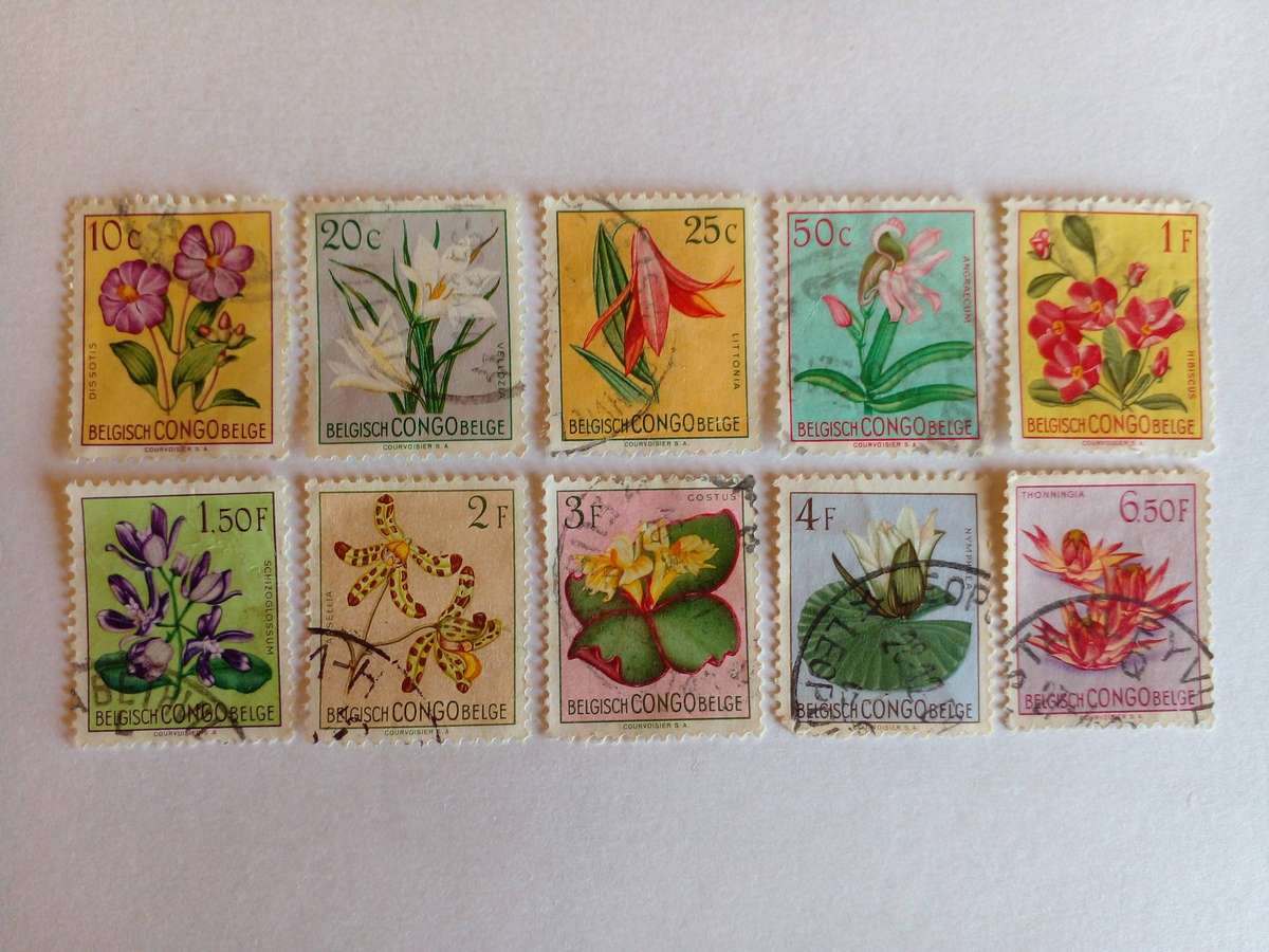 Belgian Congo 1952 Flowers