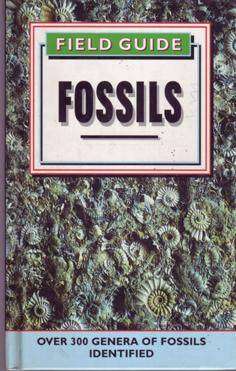 Field Guide to Fossils by Richard Moody (942)