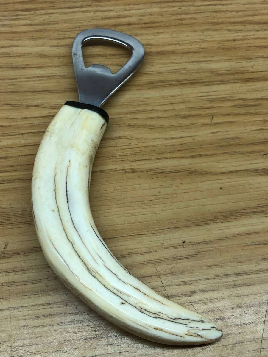 Warthog Tusk Bottle opener