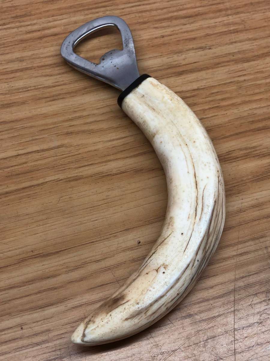 Warthog Tusk Bottle opener
