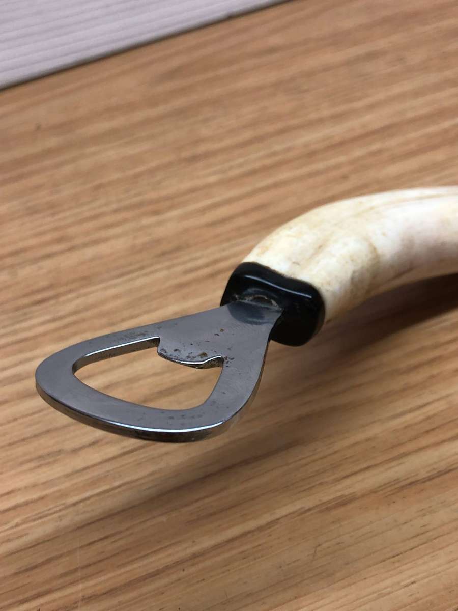 Warthog Tusk Bottle opener