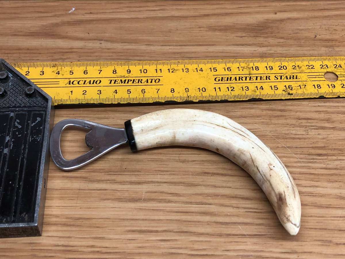 Warthog Tusk Bottle opener