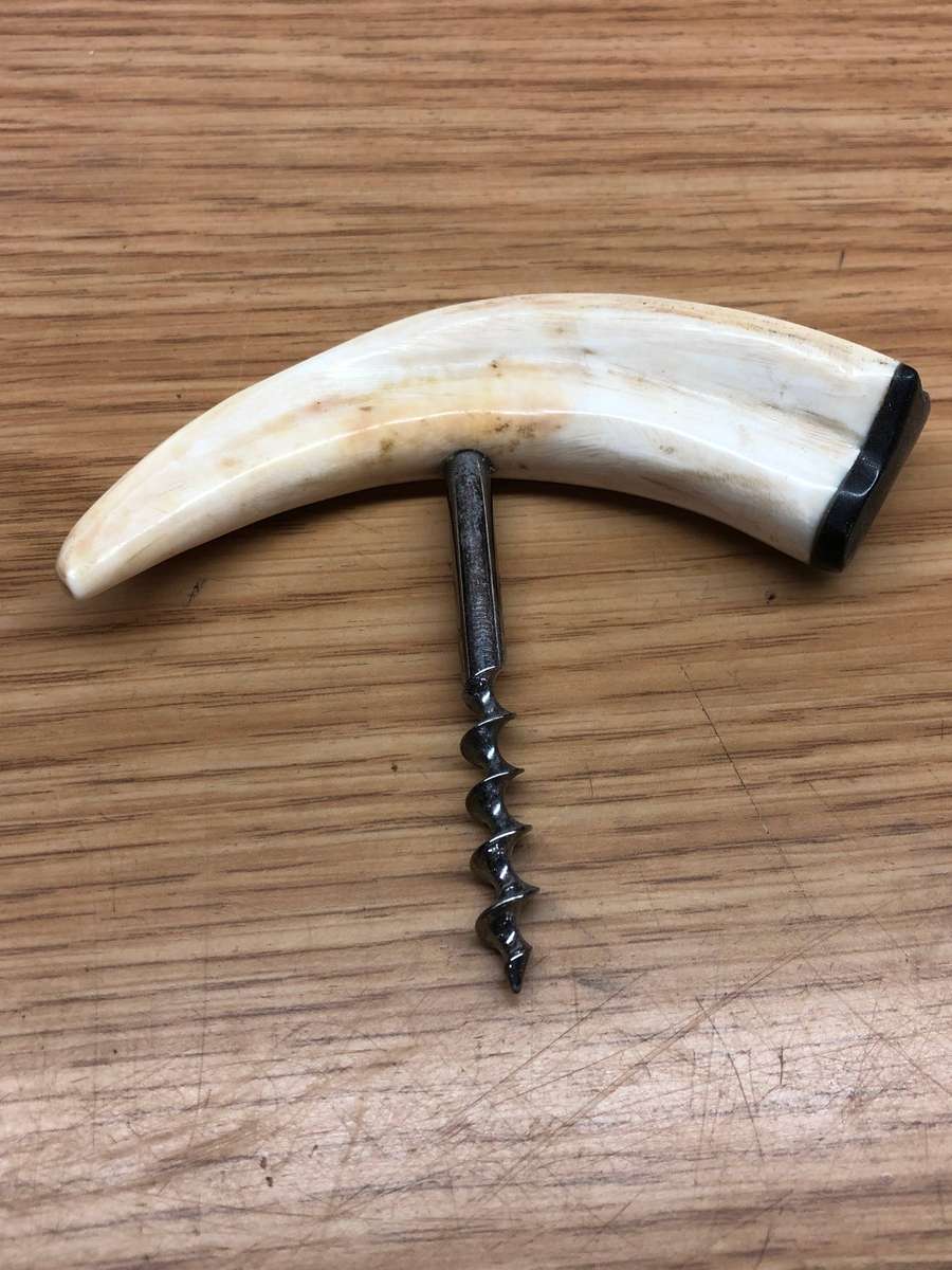 Warthog Tusk Cork Screw
