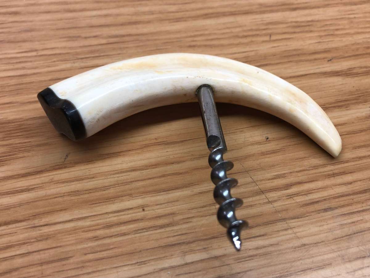 Warthog Tusk Cork Screw