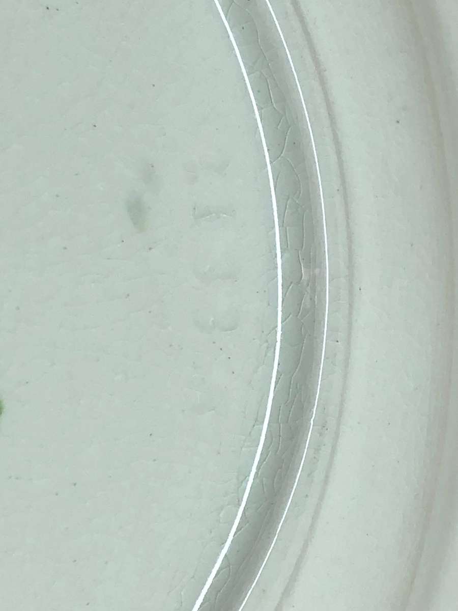 Carlton Ware - Stunning Plate , classic Australian design c1926 - 1987