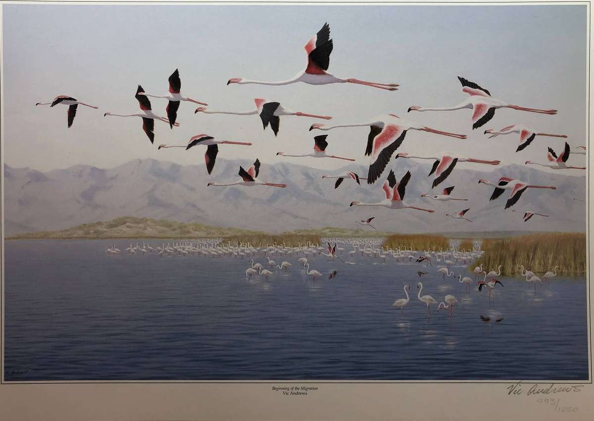 Vic Andrews (SA 1922 - 2014 ) Limited signed and numbered edition 493 / 1250 - titled