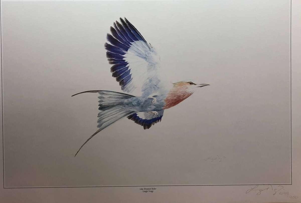 Leigh Voigt (SA 1943 - ) Limited signed and numbered edition 493 / 1250 - titled