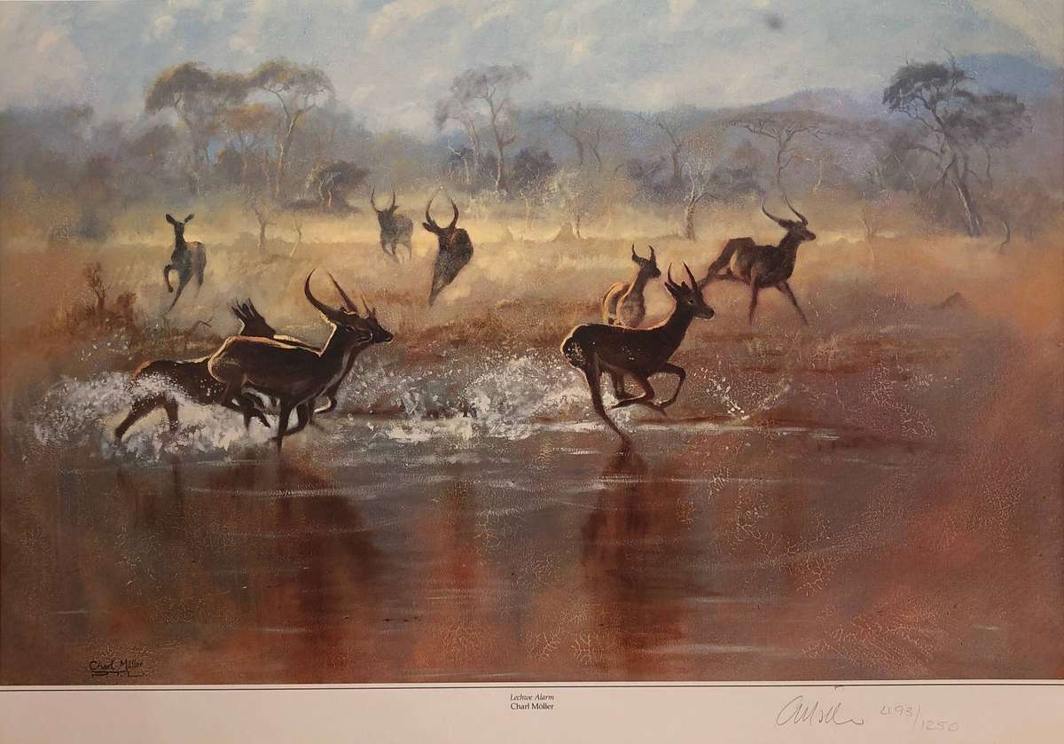 Charl Möller ( SA 20th C  ) Limited signed and numbered edition 493 / 1250 - titled