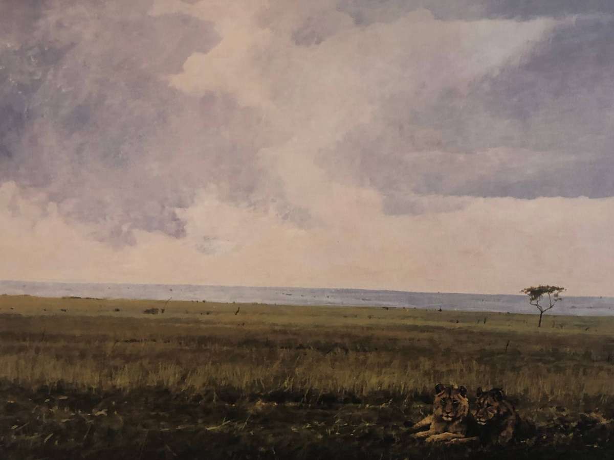 John Meyer ( SA 1942 -  ) Limited signed and numbered print - 293/1250 - Lions