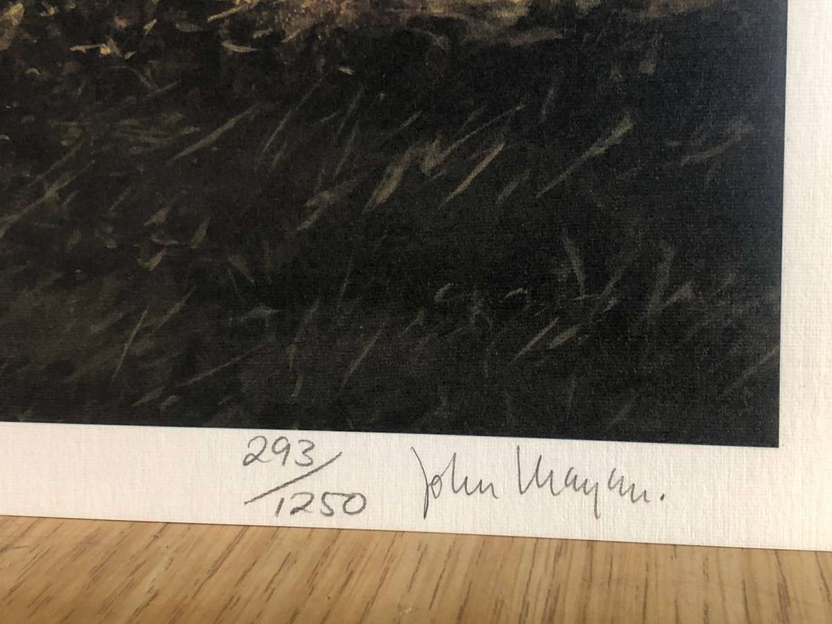 John Meyer ( SA 1942 -  ) Limited signed and numbered print - 293/1250 - Lions