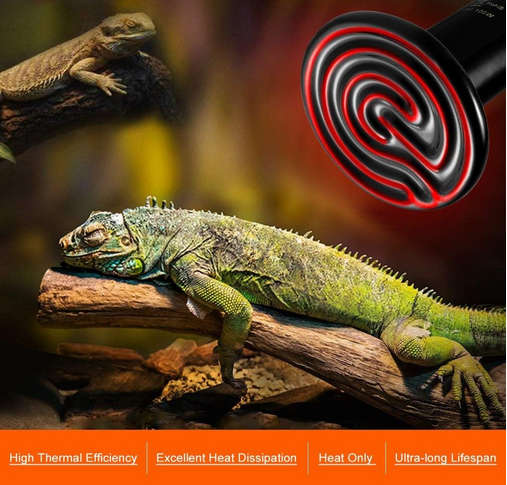 Infrared Ceramic Heat Emitter Bulb for Lizards/Tortoise/Chicken Cooper Brooding Non Light Pets
