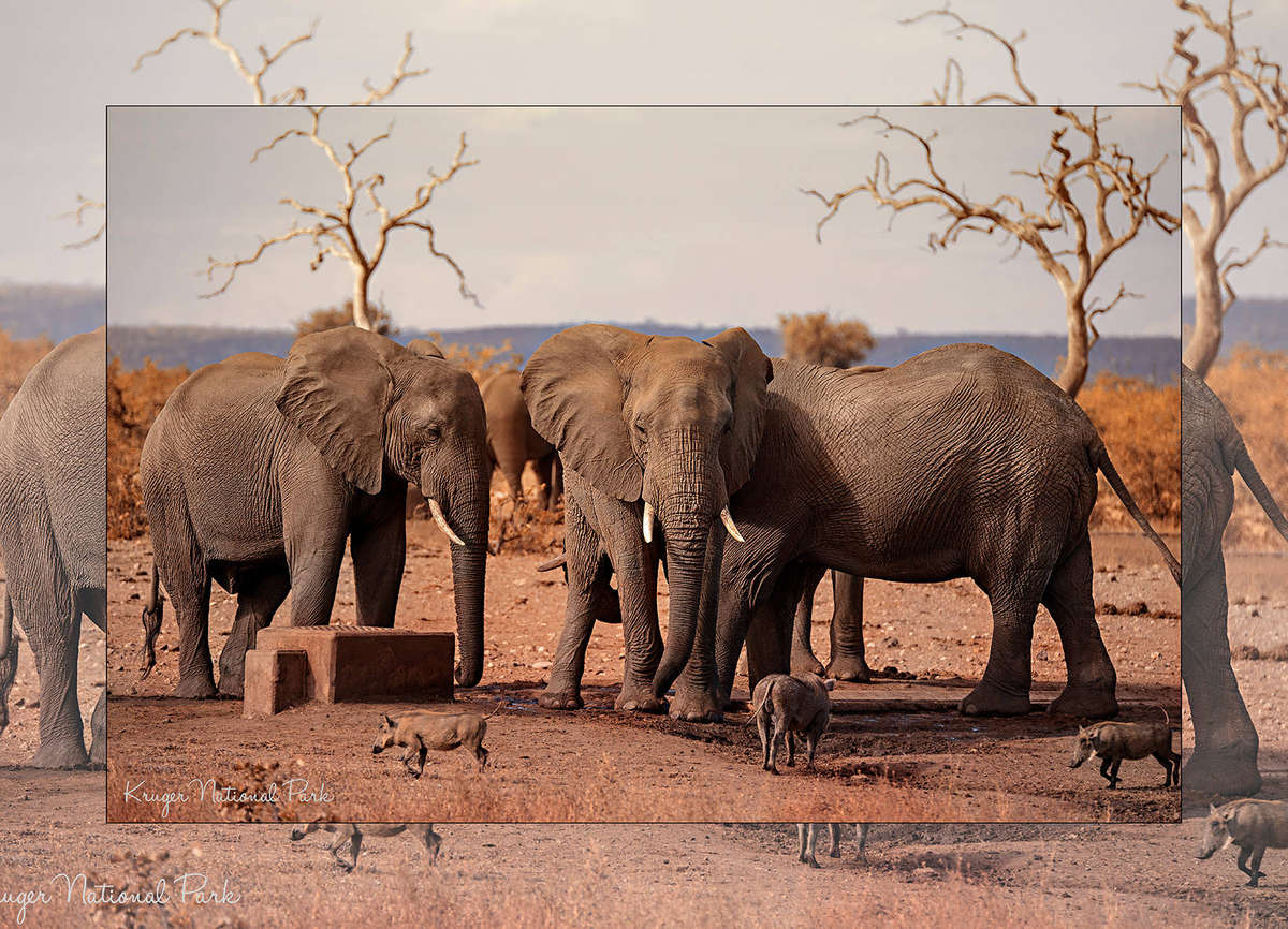 Fine Art Canvas Print - A1 (600mm x 900mm)