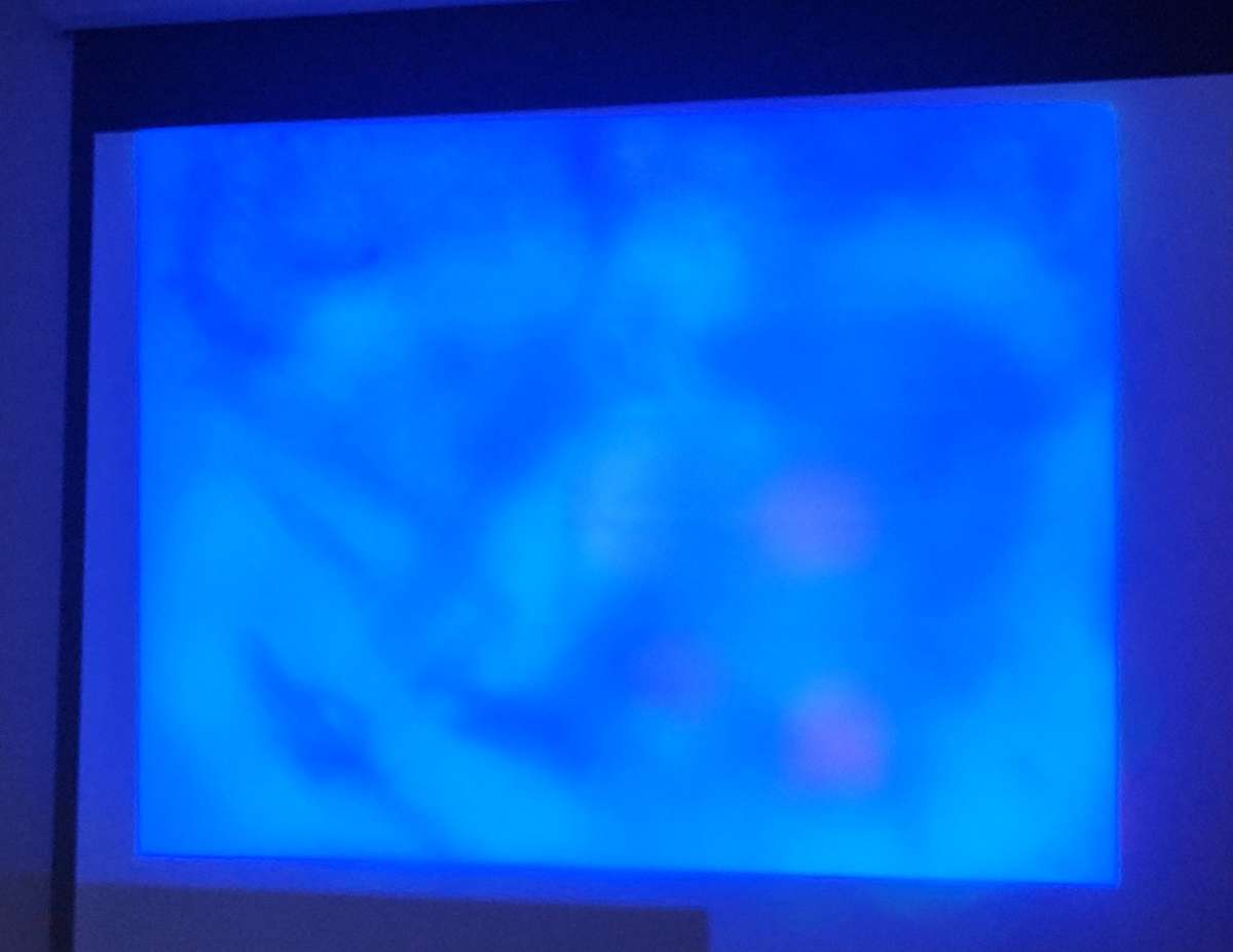 Philips ProScreen PXG10 XGA Conference Room LCD Projector (Use for Parts or Repair)