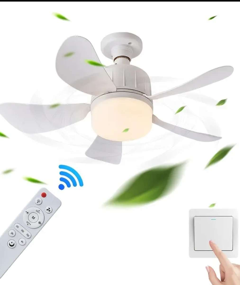LED light and ceiling fan