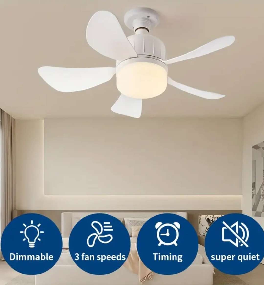 LED light and ceiling fan
