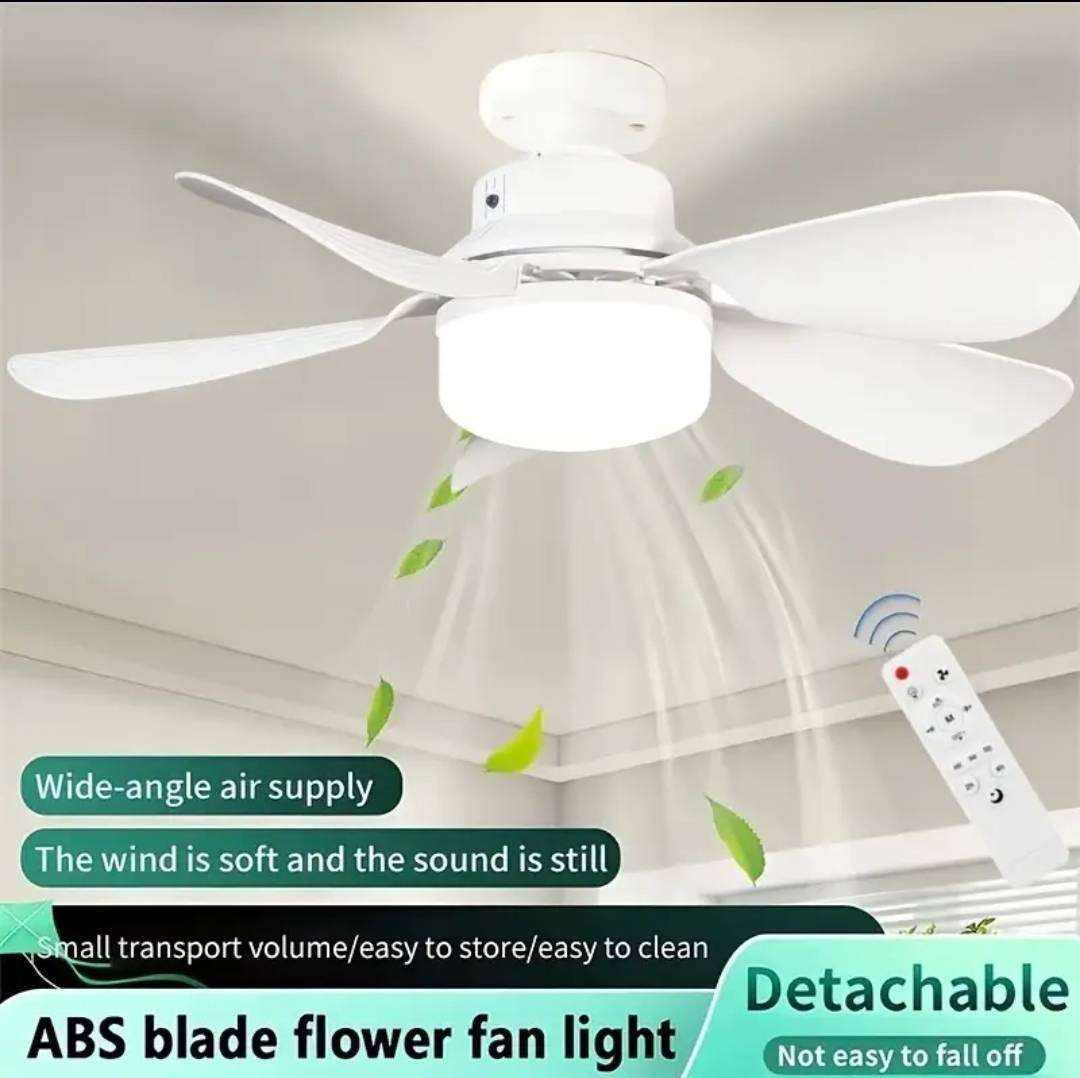 LED light and ceiling fan