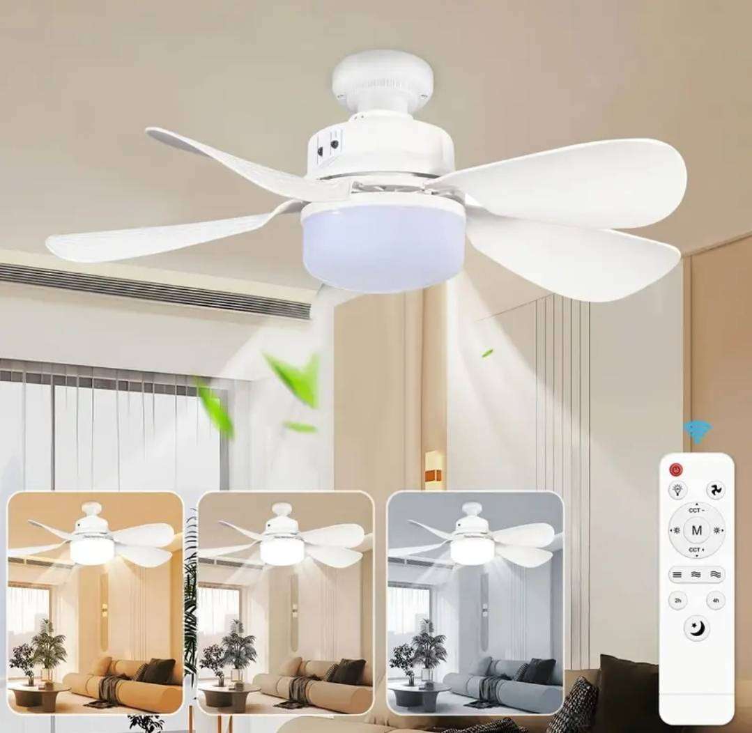 LED light and ceiling fan