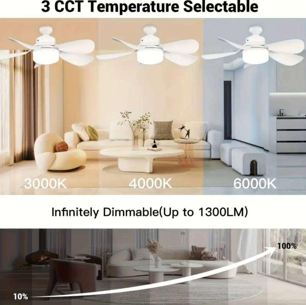 LED light and ceiling fan