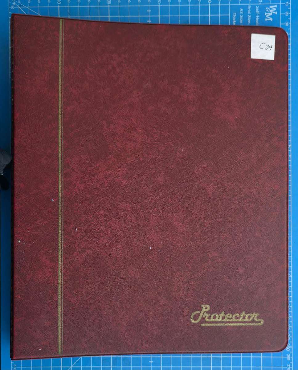 Protector Stamp File: 20 Pages with Unchecked World Mix - Used