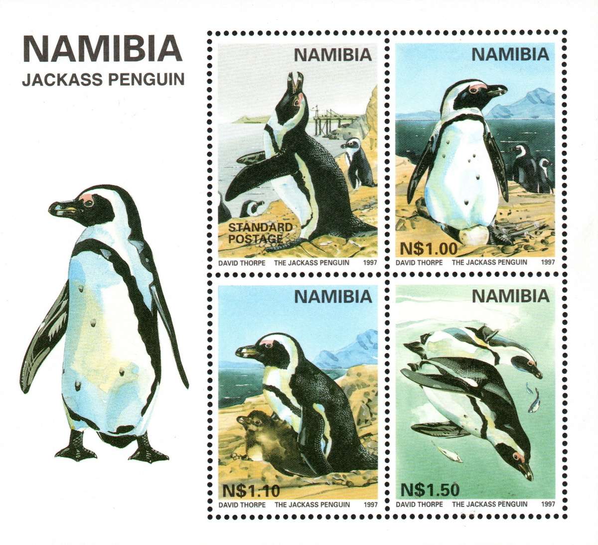 Namibia 1997: Jackass Penguin - UMM M/S: SACC 178