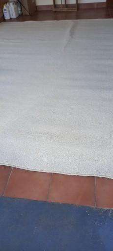 large heavy duty beige  carpet