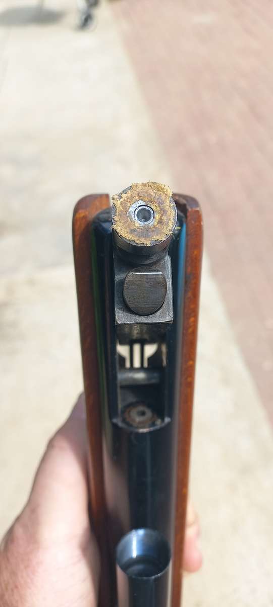 BSA METEOR Pellet Gun