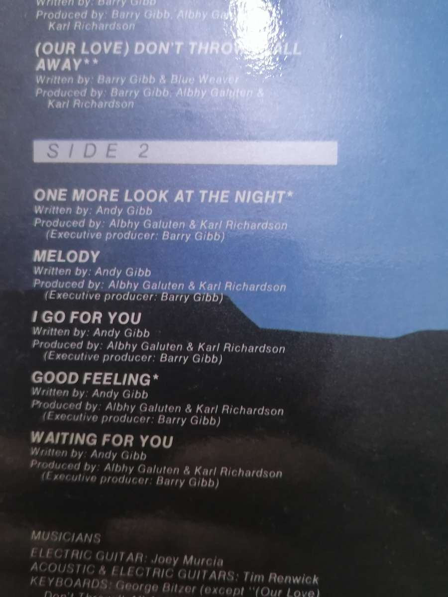 ANDY GIBB (SHADOW) - VINYL IN EXCELLENT COND. - SEE BELOW FOR INFO.