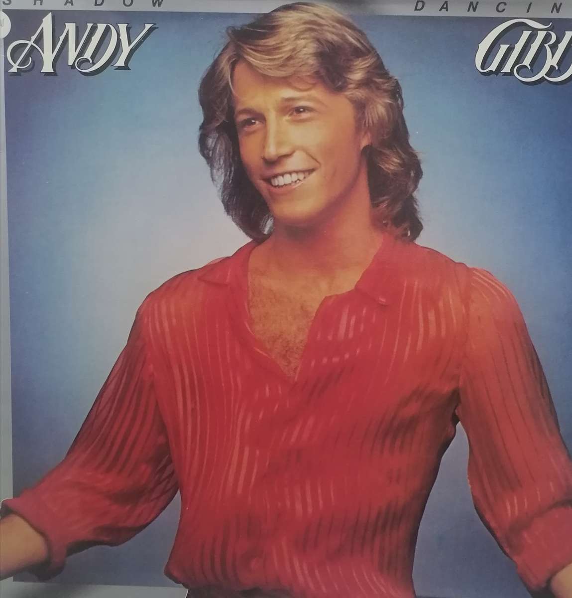 ANDY GIBB (SHADOW) - VINYL IN EXCELLENT COND. - SEE BELOW FOR INFO.